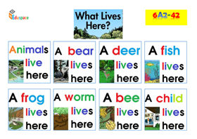 What lives here (in A3)